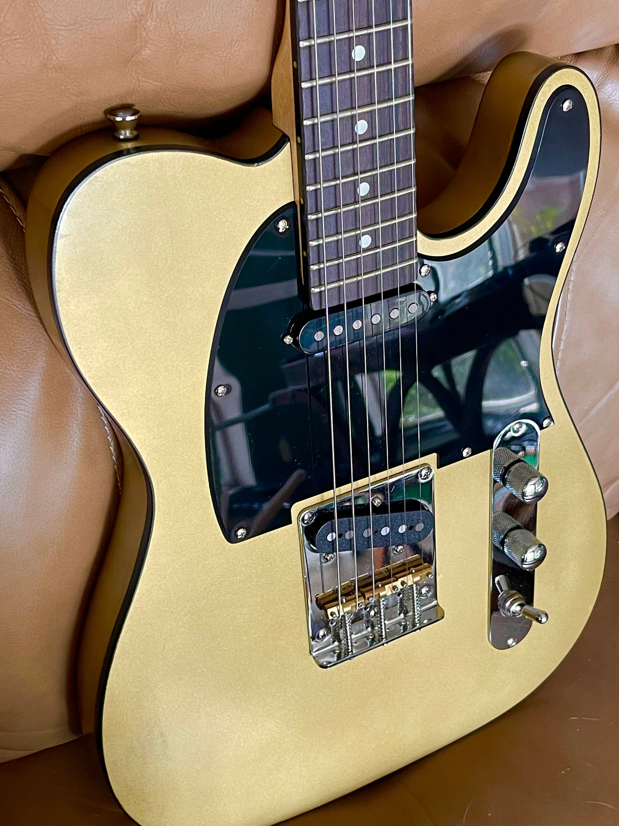 CryoTone Custom T Guitar with a Glaser B-Binder