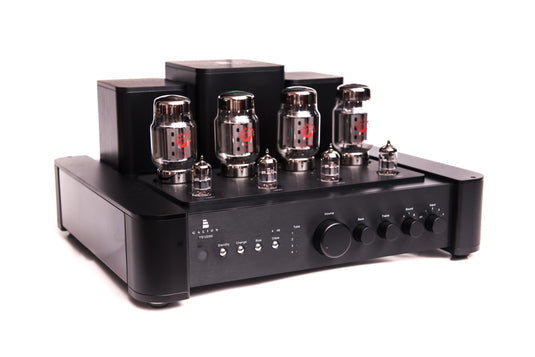 Galion TS120 Integrated amp Tube bundle